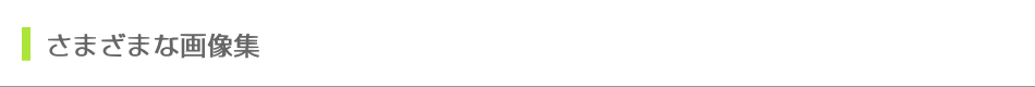 さまざまな画像集