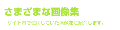 さまざまな画像集