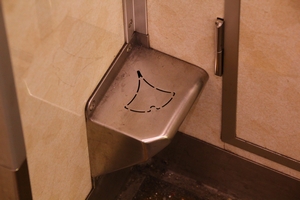 他にも隠れイチョウあり