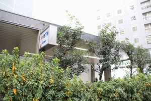 4���o�����@���g���