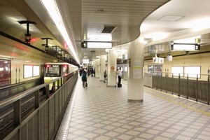 ���x�ߌ��Βn���@�z�[���i�吳������j�@���g���