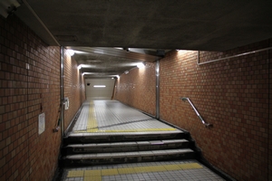 �䓰�ؐ���詓����z���Ă���Ǝv����ӏ��@���g���