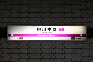 �w���W�@���g���