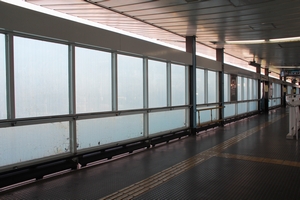 ������͌����Ȃ��悤�ɂȂ��Ă���@���g���