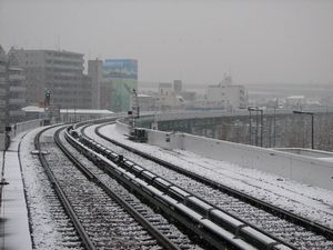 �R�X���X�N�G�A����]�ށ@���g���