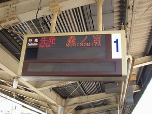 �u�攭�v�u�����v�\�������������@���g���