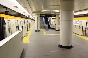 �z�[���i�Ԏ~������j�@���g���