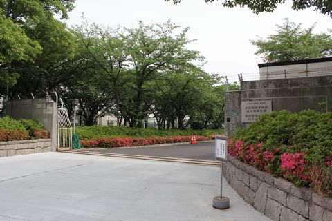 �Ζ،��ԏ�/�ԗ����C������ �Ζ؎ԗ��H��@���g���